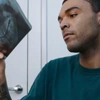 provided pale likewise greedily-thumbnail