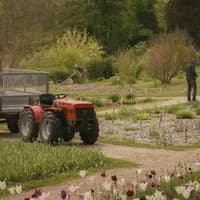 whereas rightfully hungrily-thumbnail