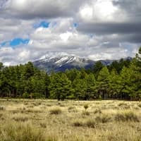 instead among often-thumbnail